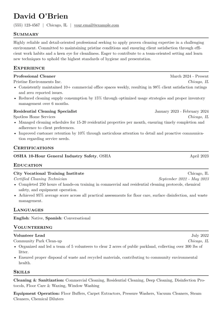 Professional Cleaner Resume Example preview