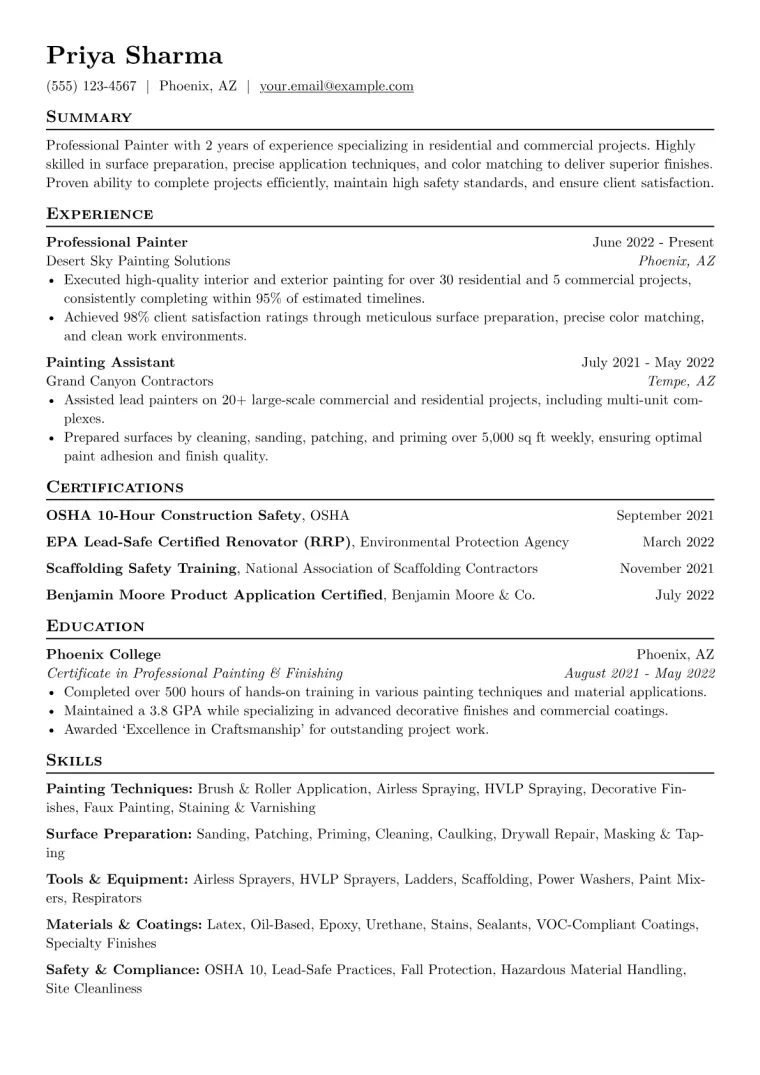 Professional Painter Resume Example CV template preview
