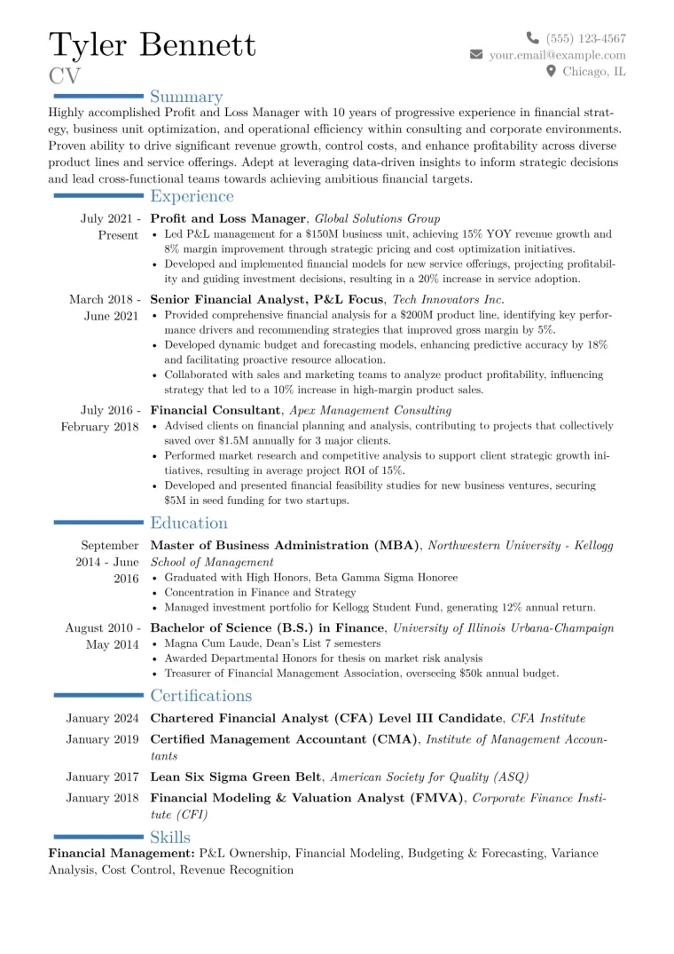 Profit and Loss Manager Resume Example CV template preview