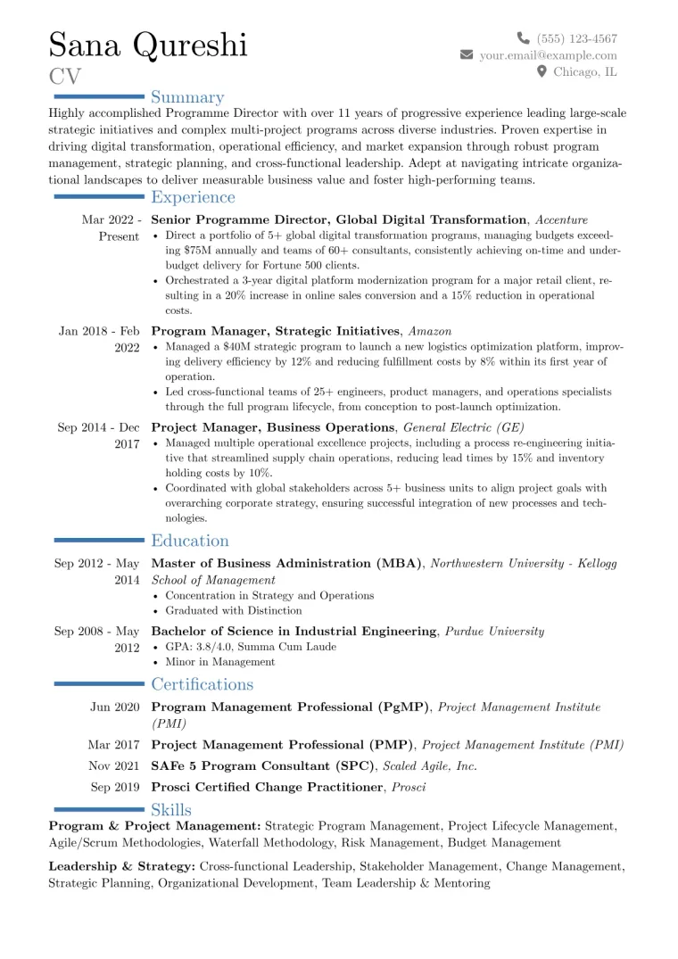 Programme Director Resume Example CV template preview