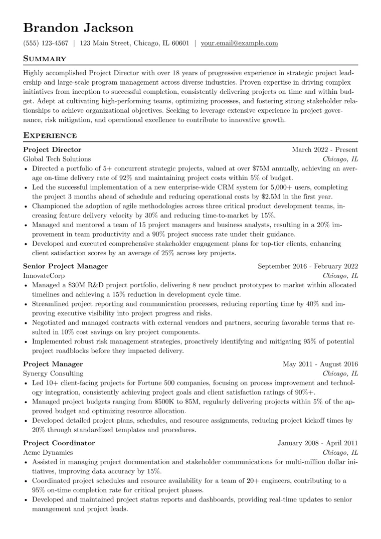 Project Director Resume Example CV template preview