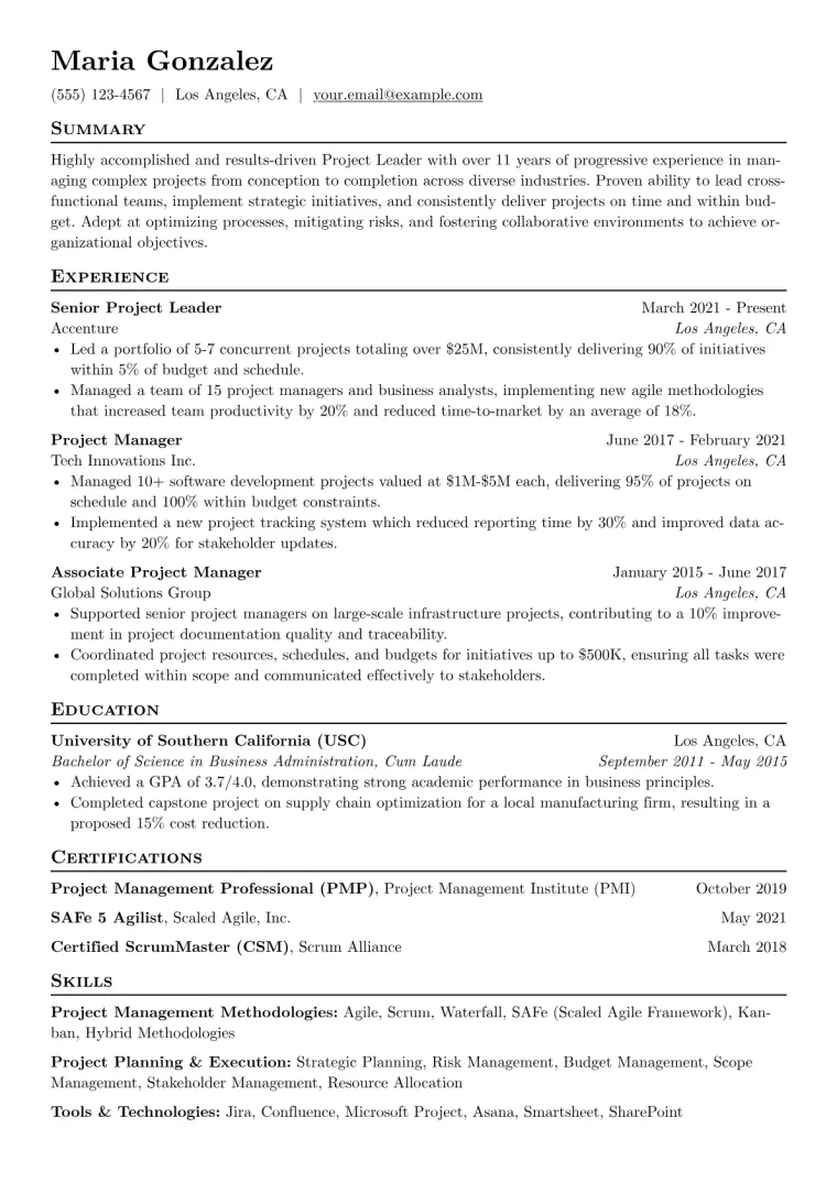 Project Leader Resume Example preview