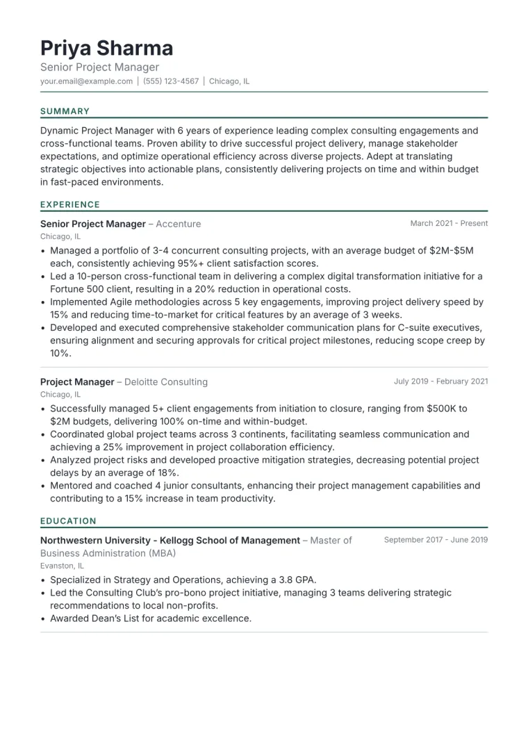 Project Manager Resume Example CV template preview
