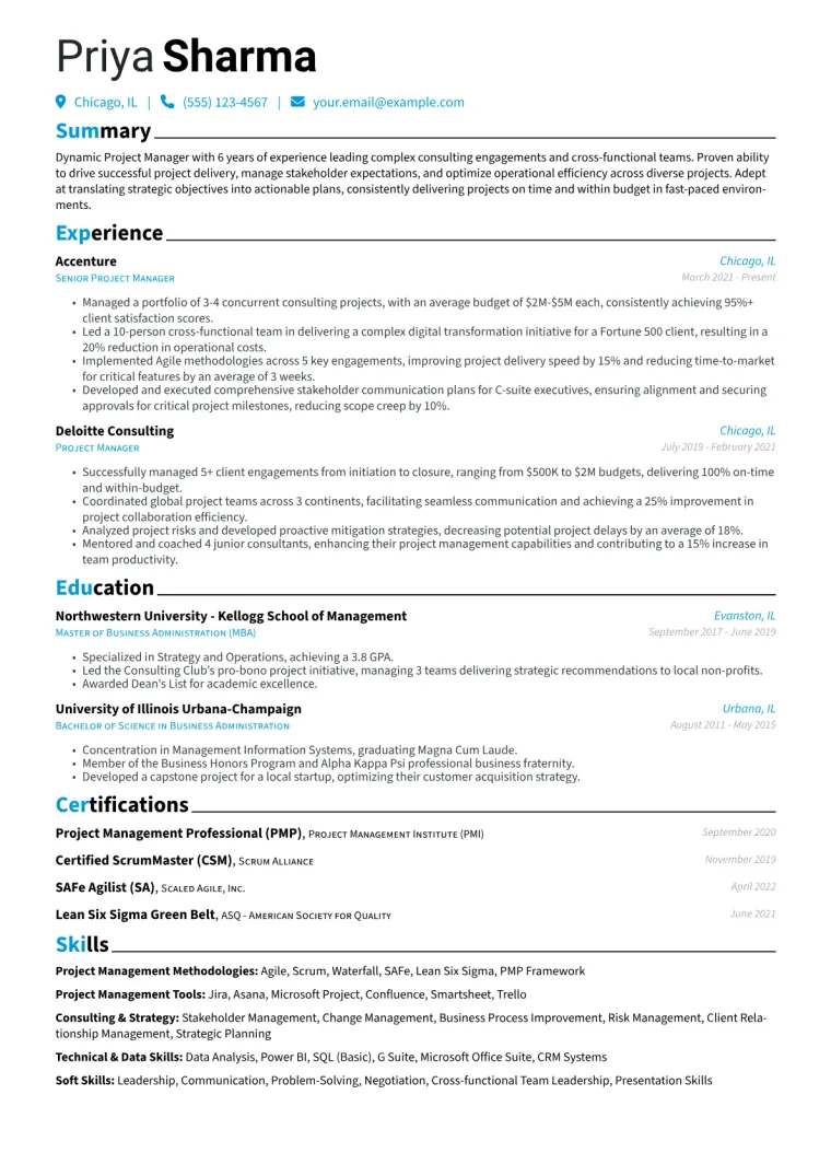 Project Manager Resume Example CV template preview