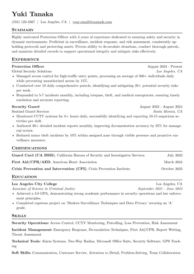 Protection Officer Resume Example preview