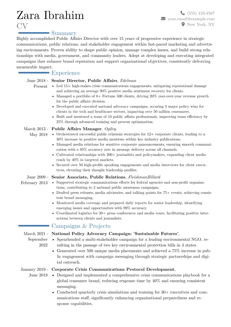 Public Affairs Director Resume Example CV template preview