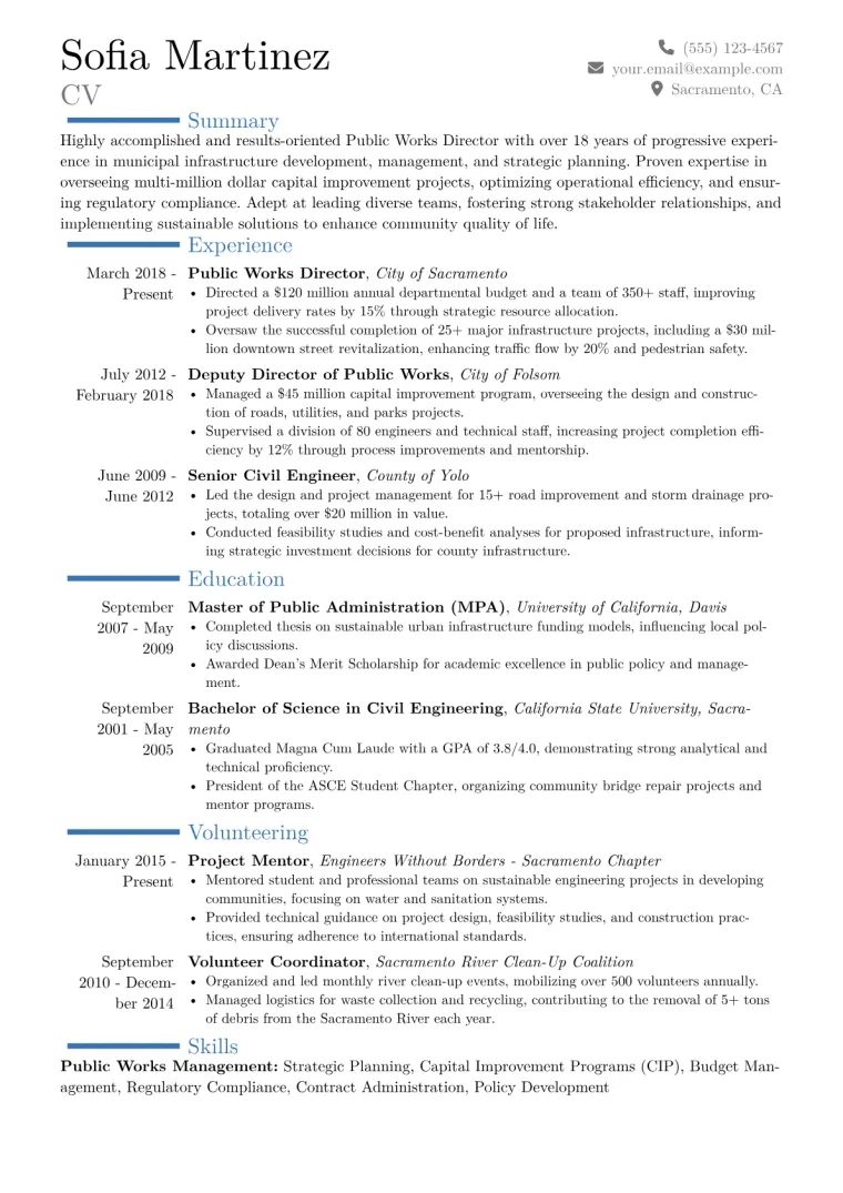 Public Works Director Resume Example CV template preview