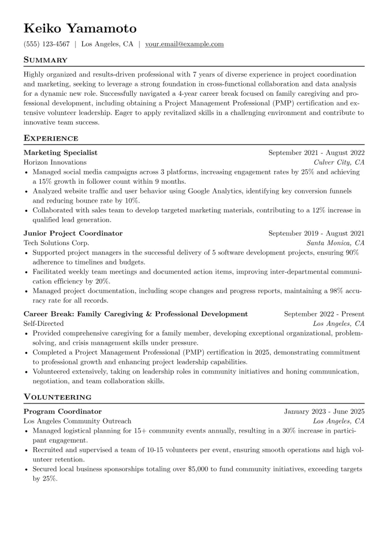 Return to Work Resume Example CV template preview