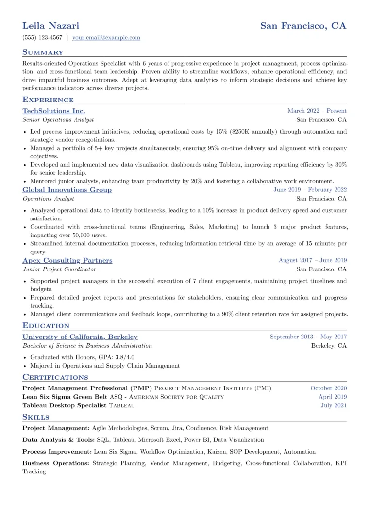 Reverse Chronological Resume Example CV template preview