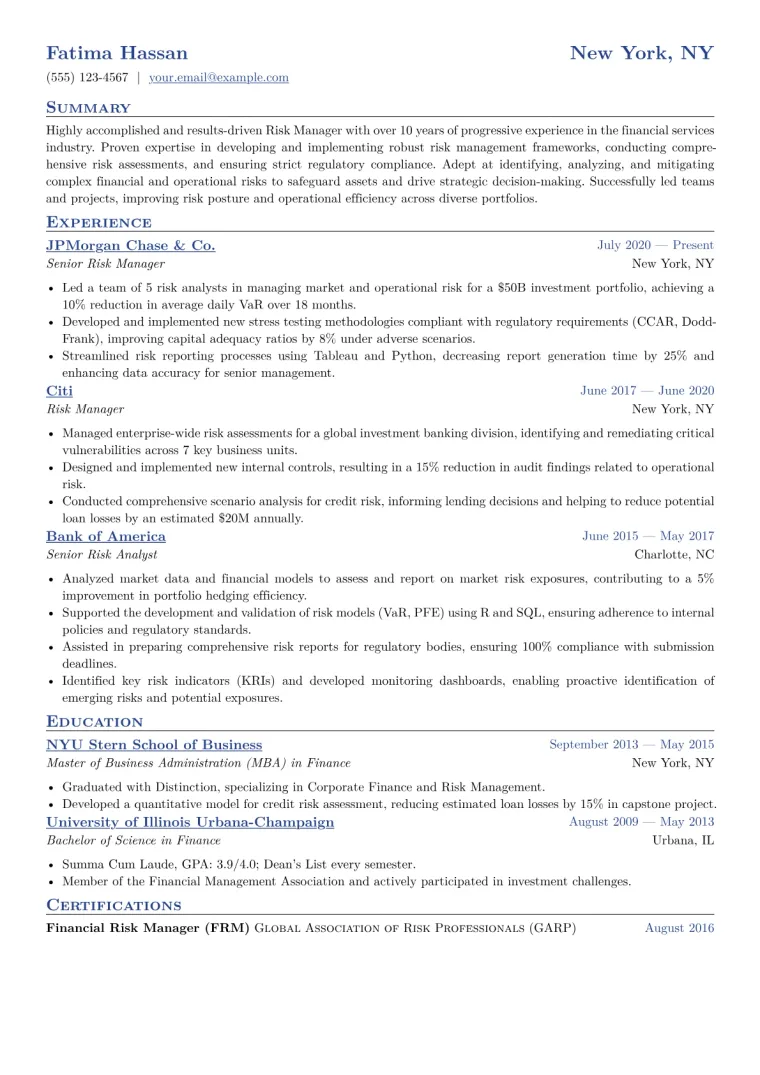 Risk Manager Resume Example CV template preview