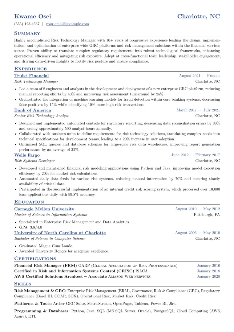 Risk Technology Manager Resume Example CV template preview