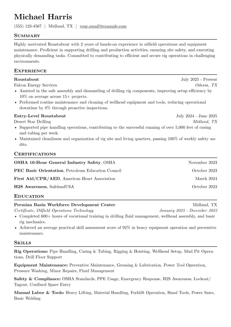 Roustabout Resume Example CV template preview