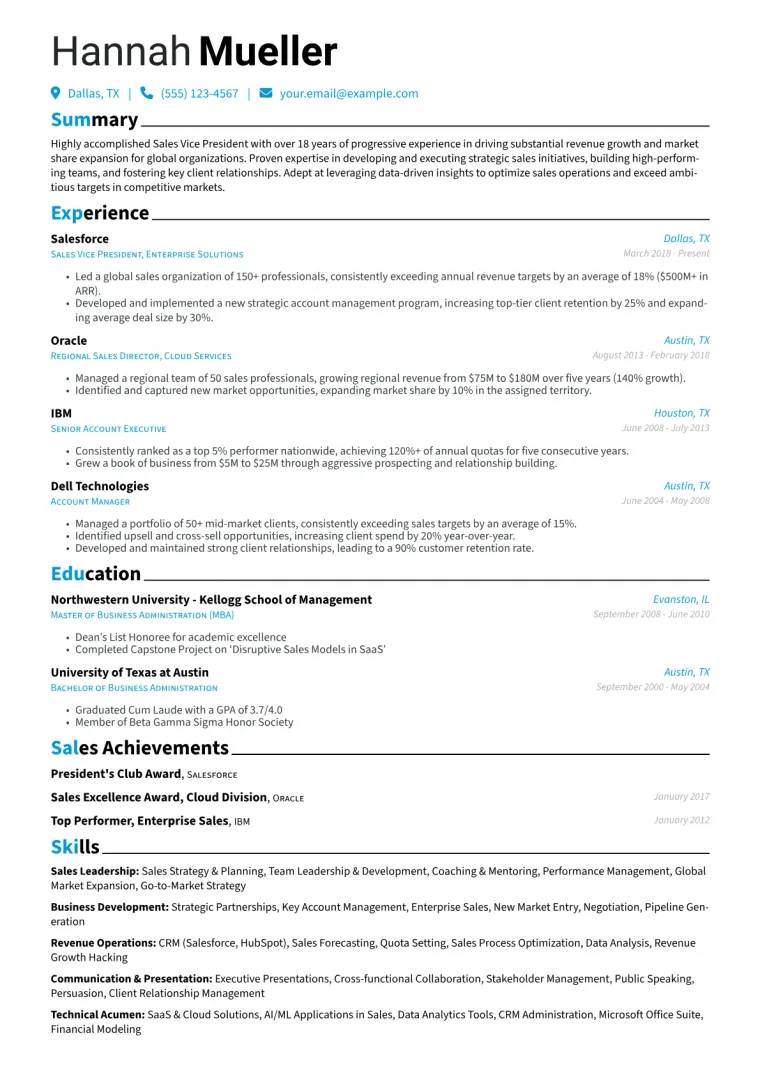 Sales Vice President Resume Example CV template preview