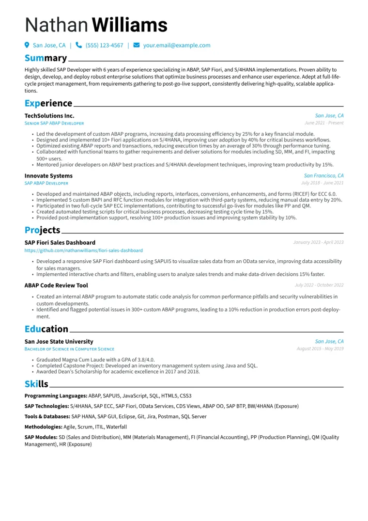 SAP Developer Resume Example CV template preview
