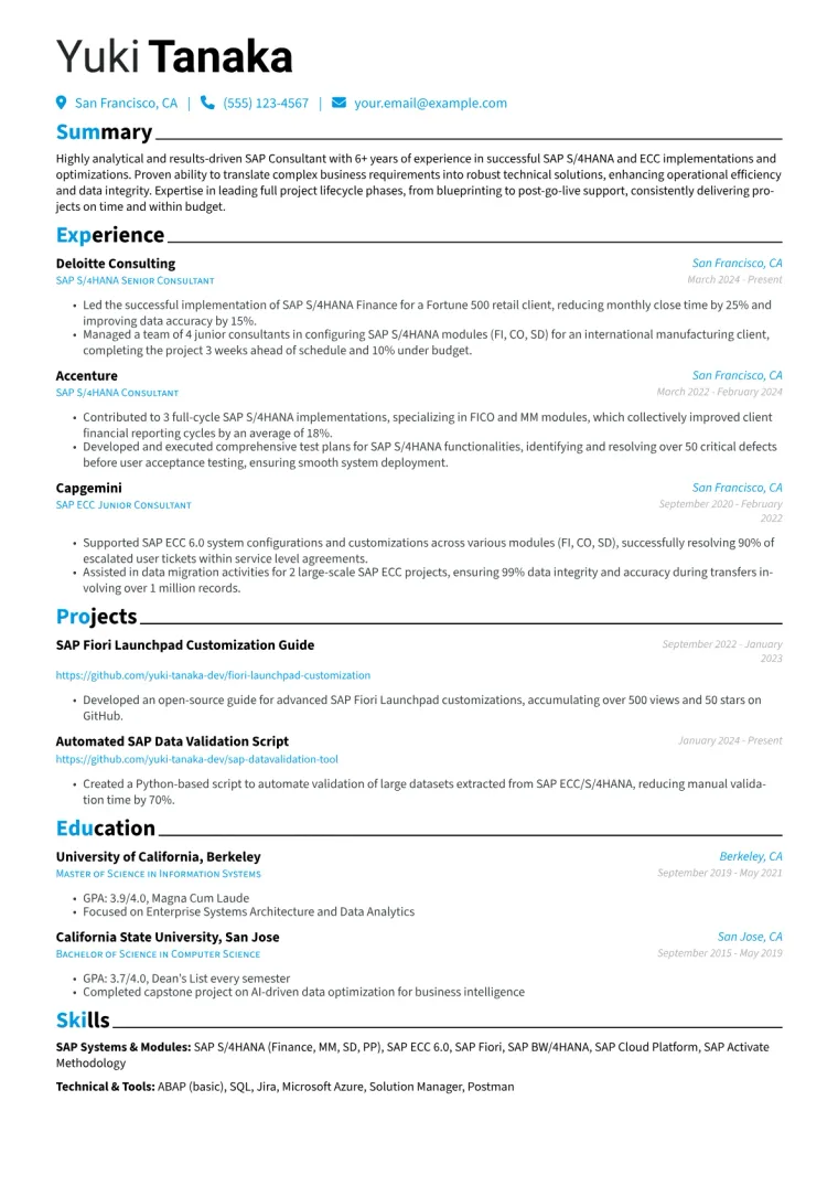 SAP Resume Example CV template preview
