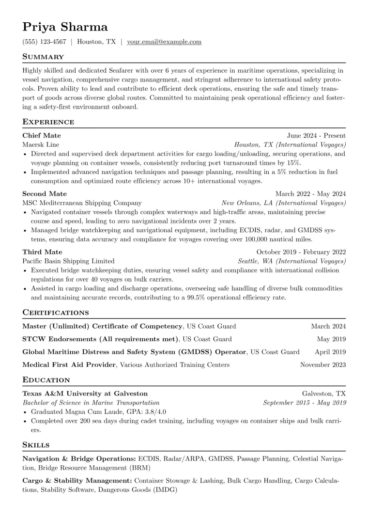 Seafarer Resume Example CV template preview