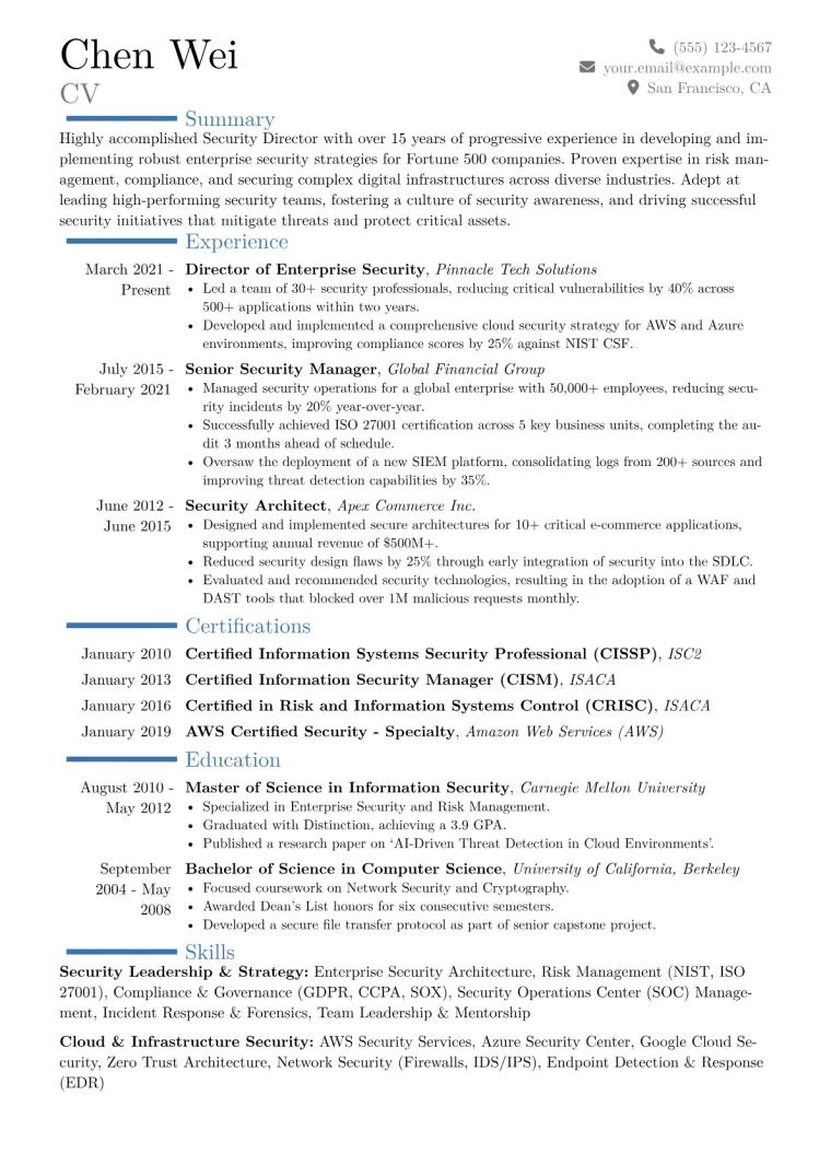 Security Director Resume Example CV template preview