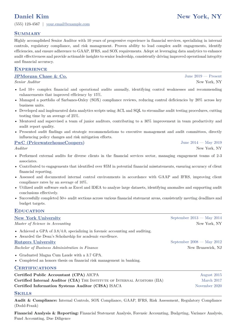 Senior Auditor Resume Example CV template preview