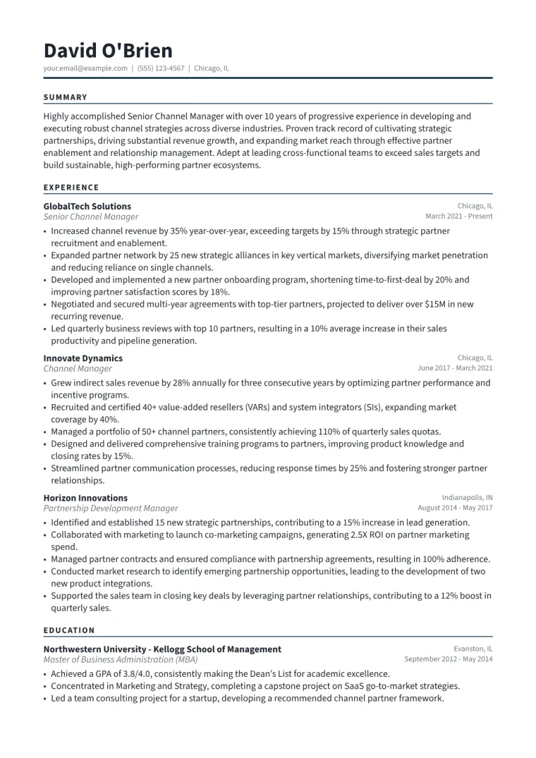 Senior Channel Manager Resume Example CV template preview