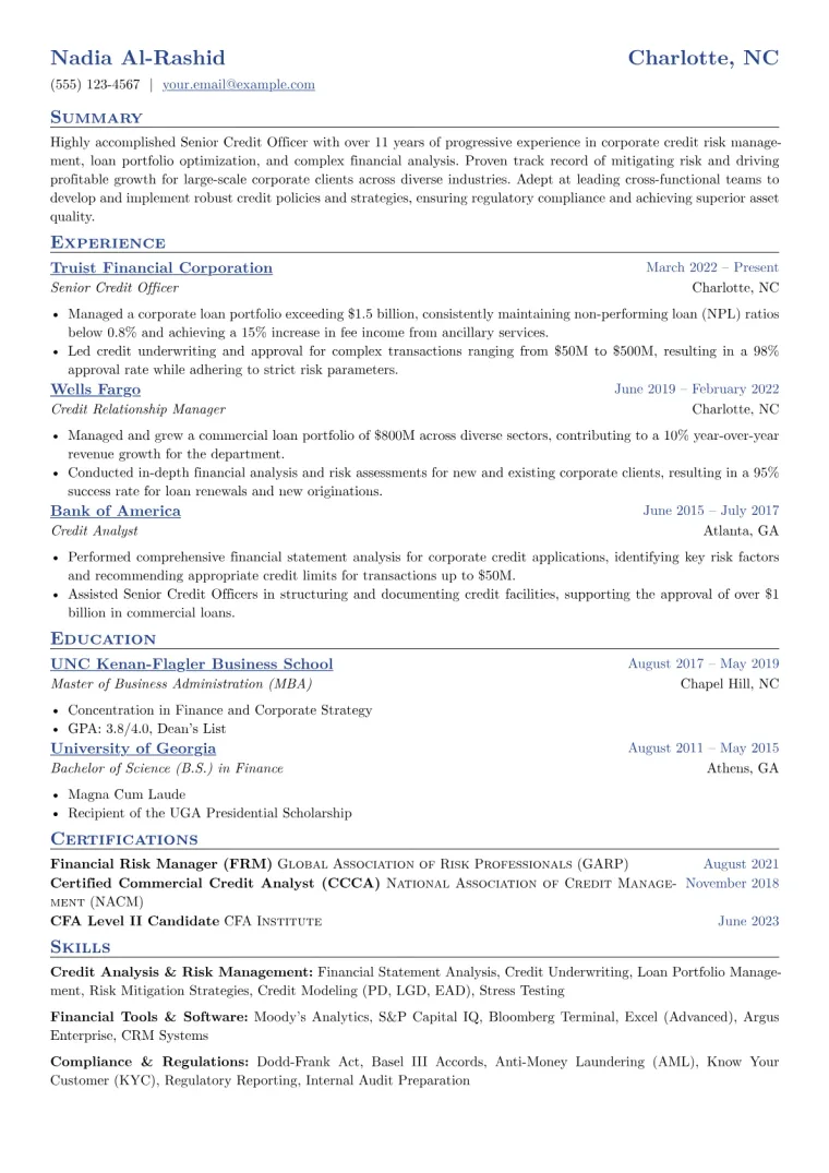 Senior Credit Officer Resume Example preview