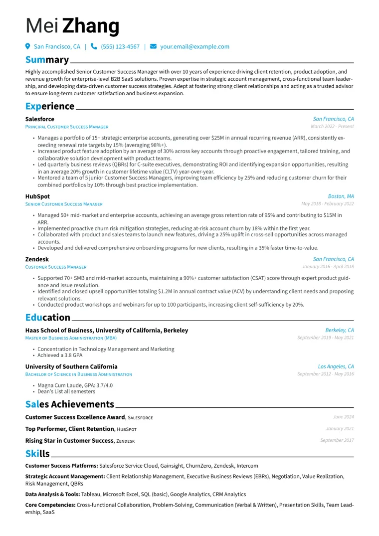 Senior Customer Success Manager Resume Example CV template preview