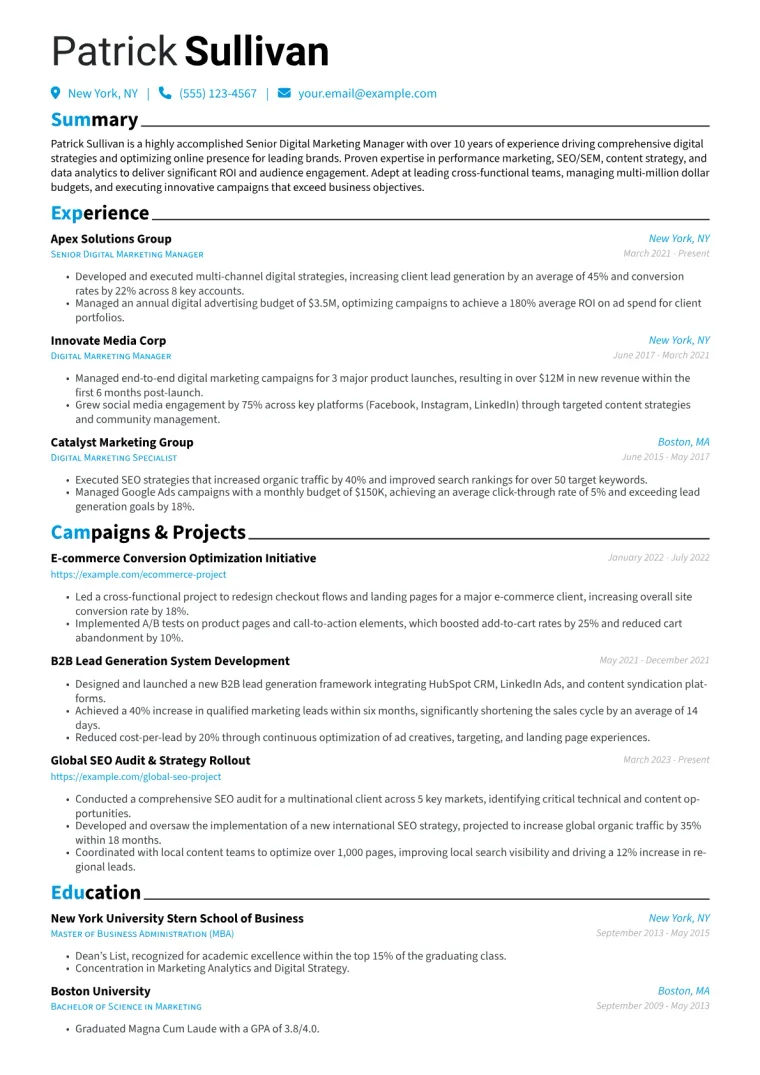 Senior Digital Marketing Manager Resume Example CV template preview