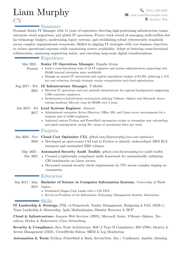 Senior IT Manager Resume Example CV template preview