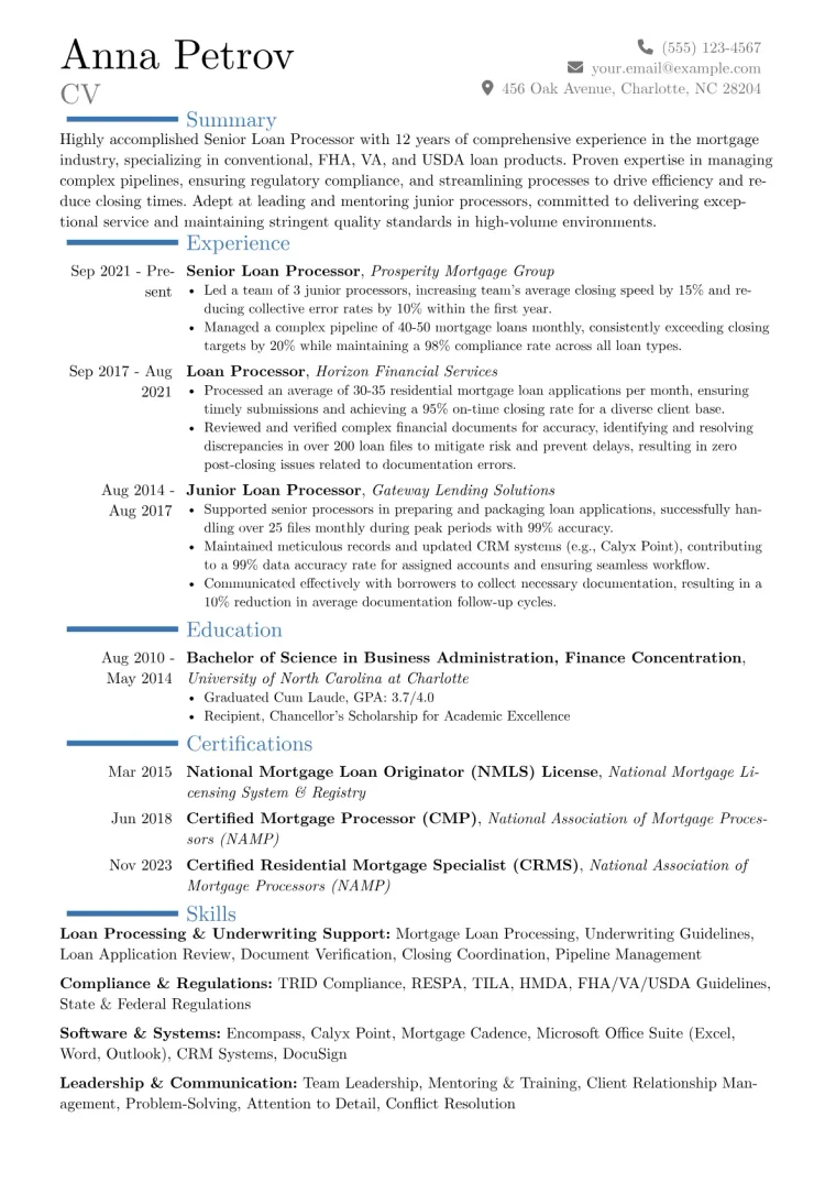 Senior Loan Processor Resume Example preview