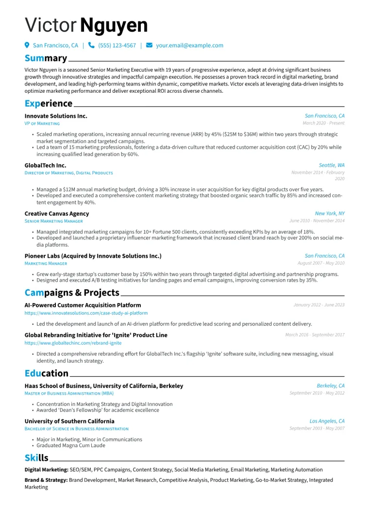 Senior Marketing Executive Resume Example preview