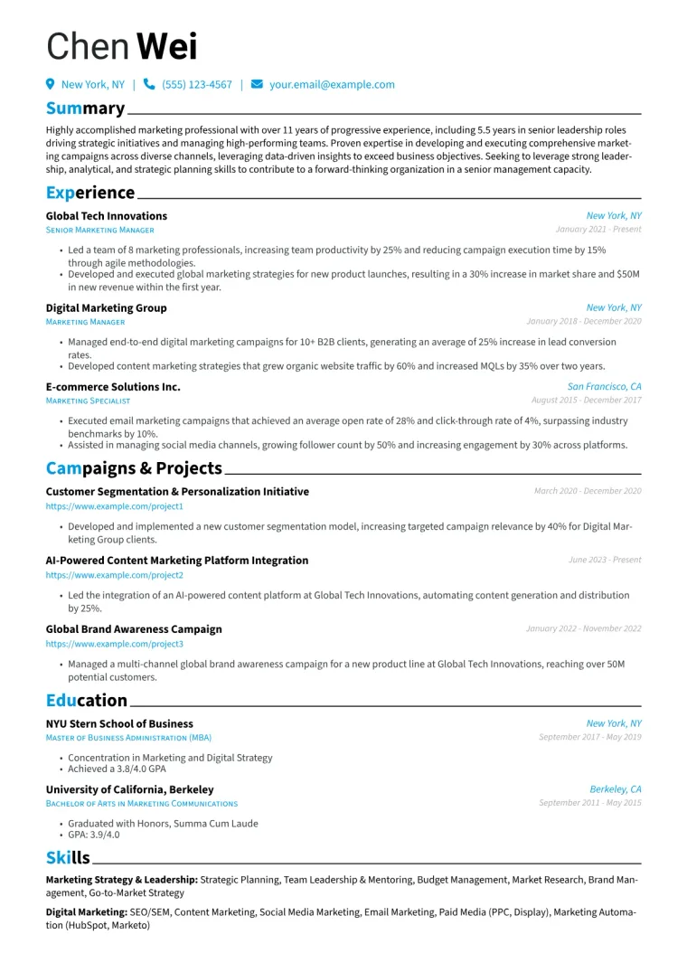Senior Marketing Manager Resume Example preview
