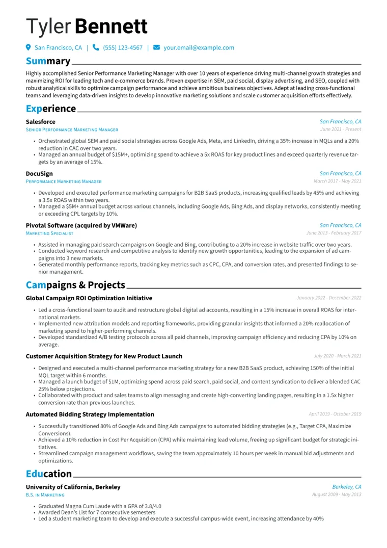 Senior Performance Marketing Manager Resume Example CV template preview
