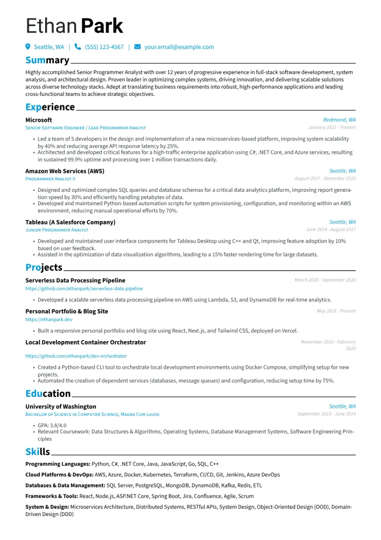 Senior Programmer Analyst Resume Example CV template preview