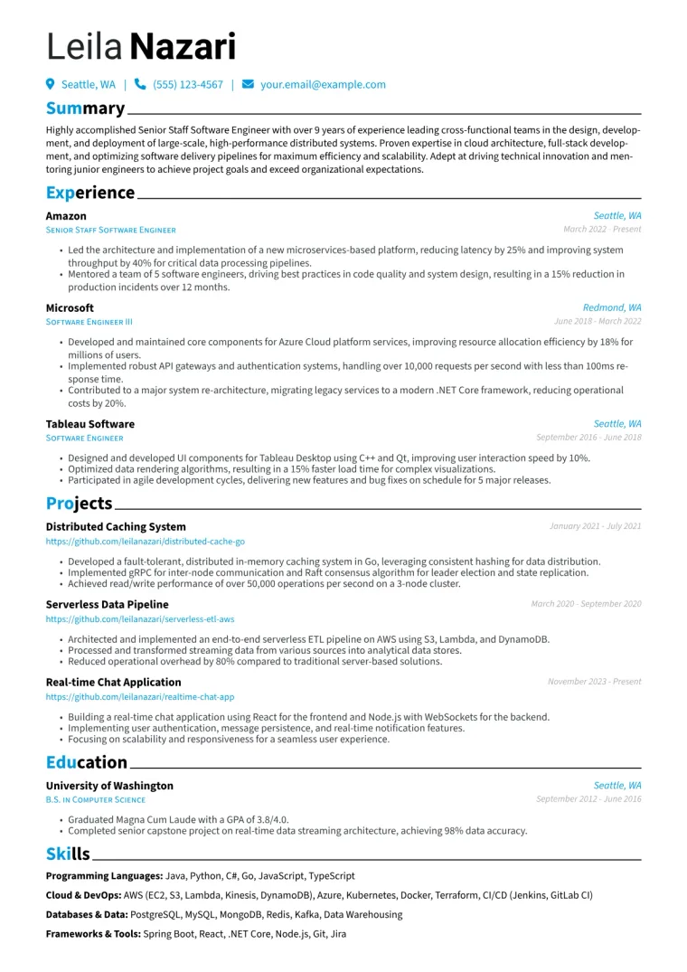 Senior Programmer Resume Example CV template preview