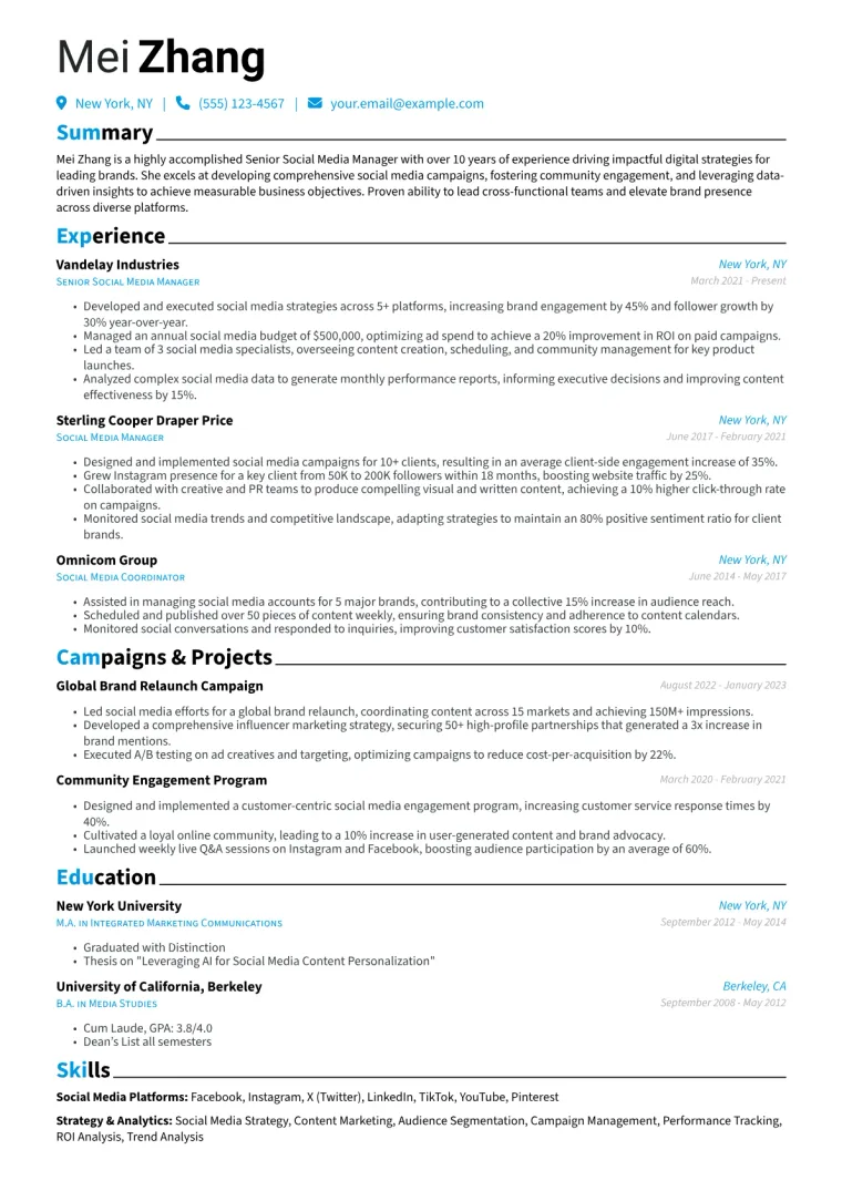 Senior Social Media Manager Resume Example CV template preview