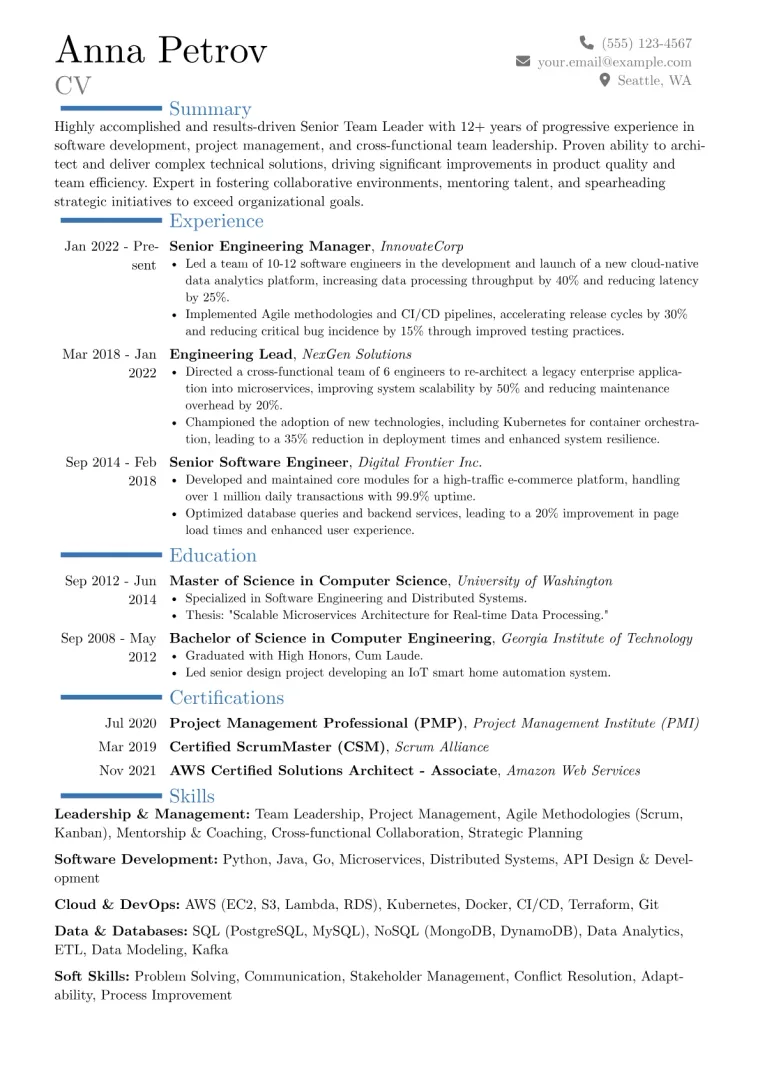Senior Team Leader Resume Example preview