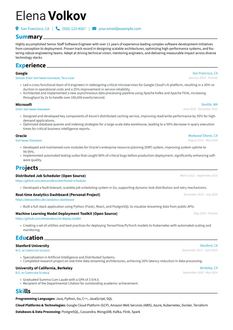 Senior Technical Lead Resume Example CV template preview