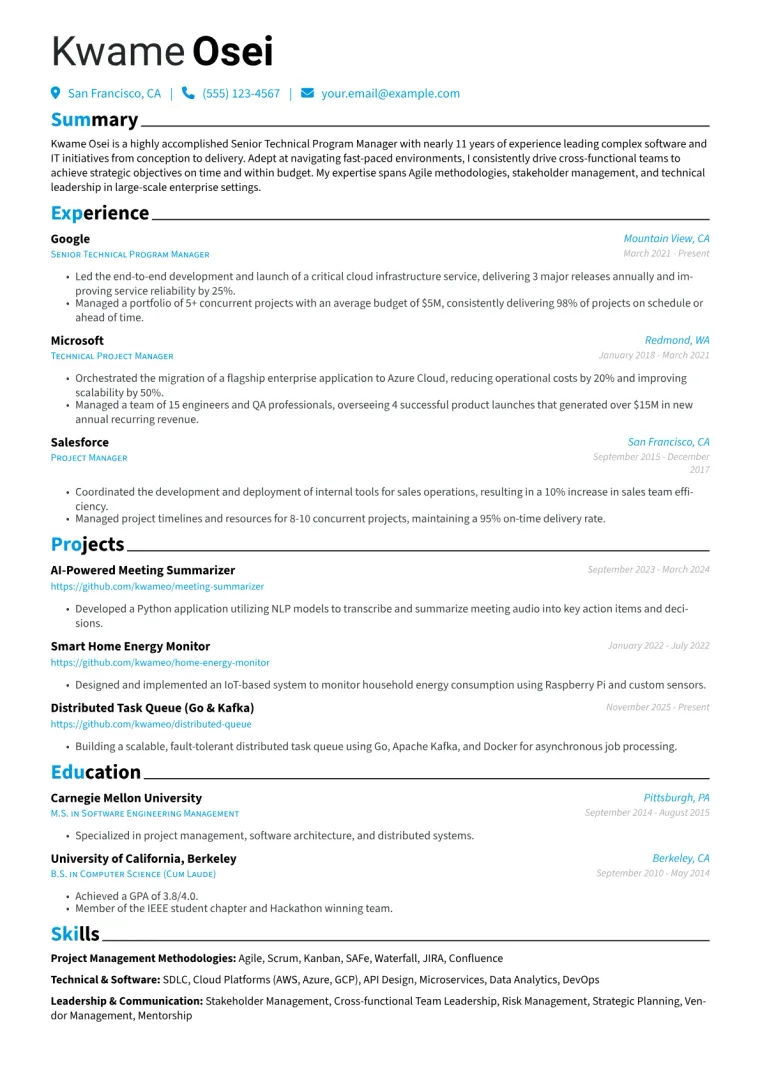 Senior Technical Project Manager Resume Example CV template preview