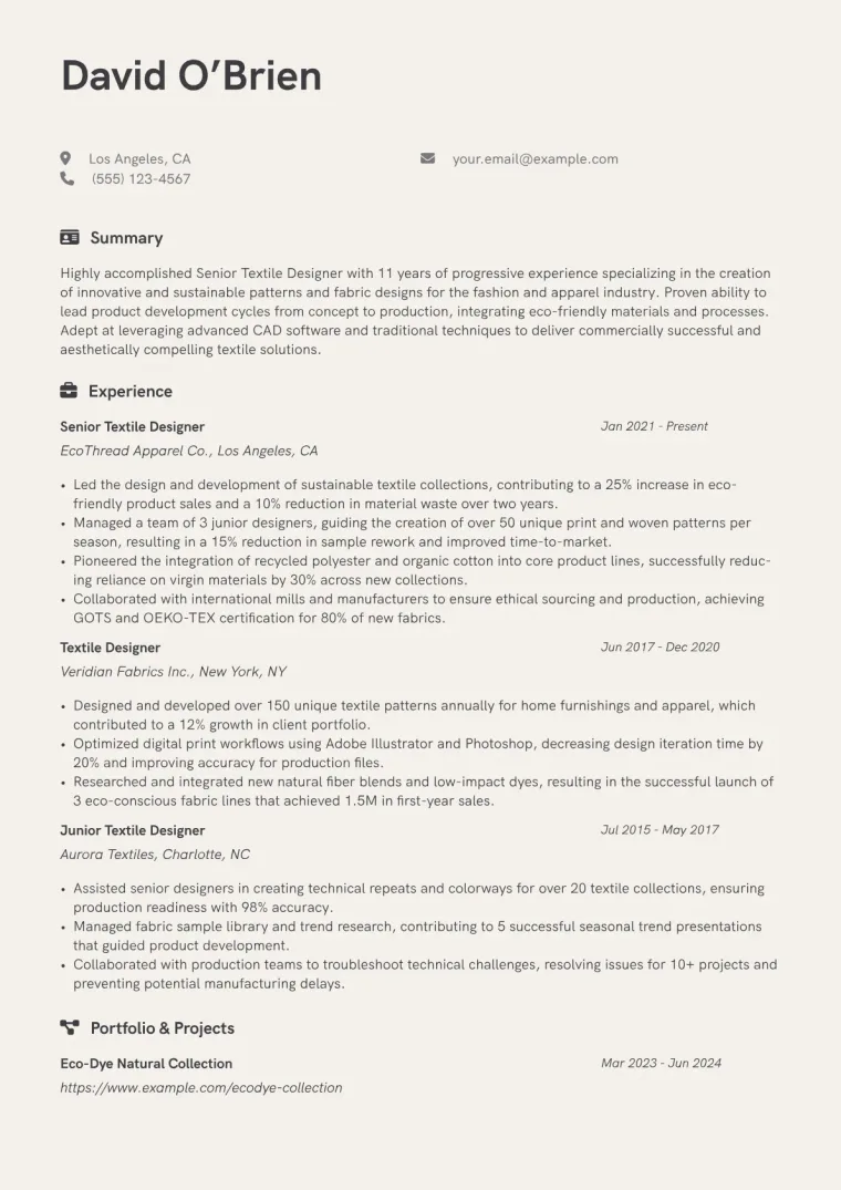 Senior Textile Designer Resume Example CV template preview