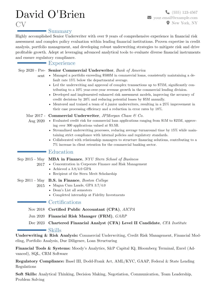 Senior Underwriter Resume Example CV template preview