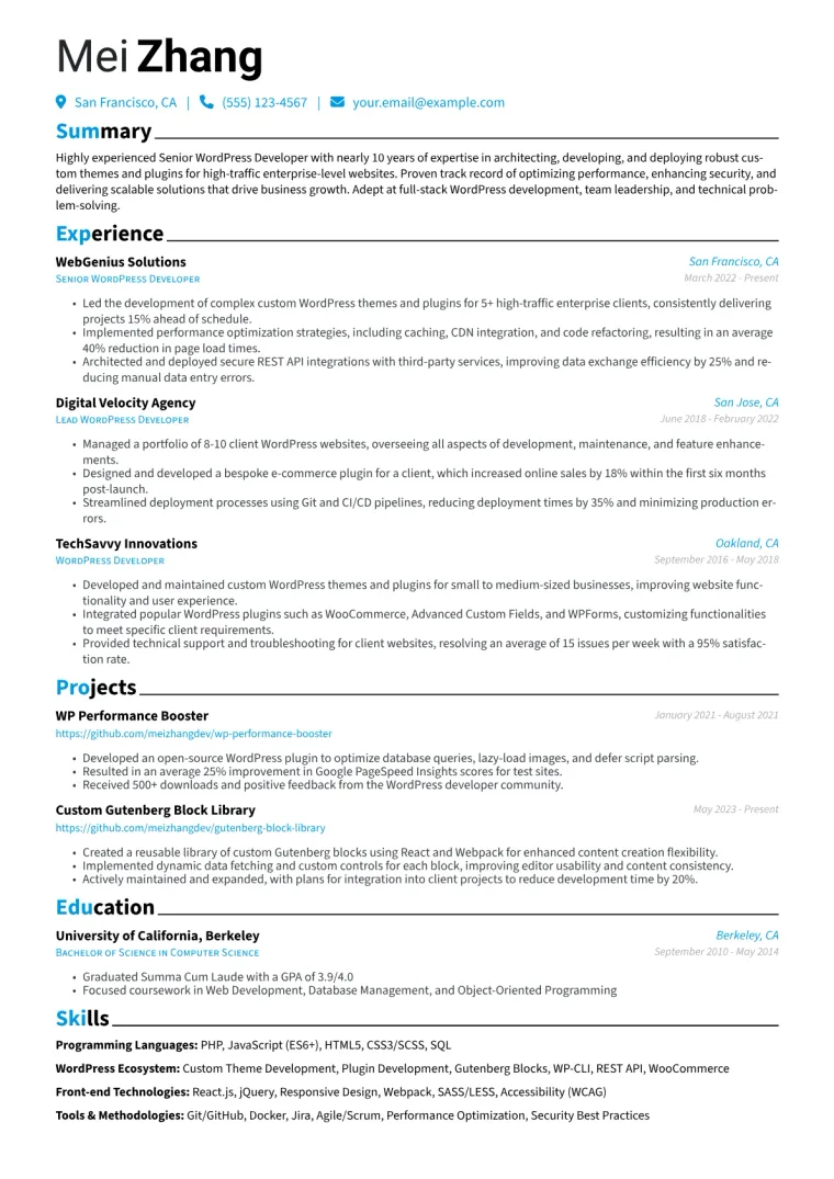 Senior WordPress Developer Resume Example CV template preview