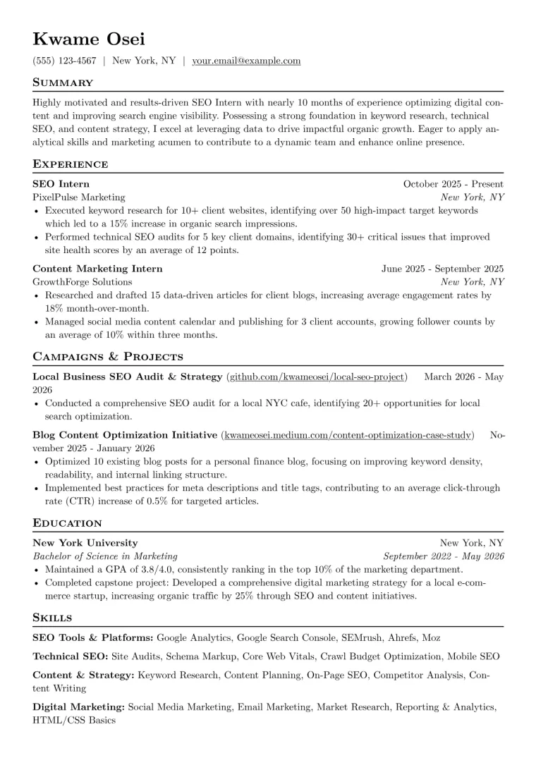 SEO Intern Resume Example CV template preview