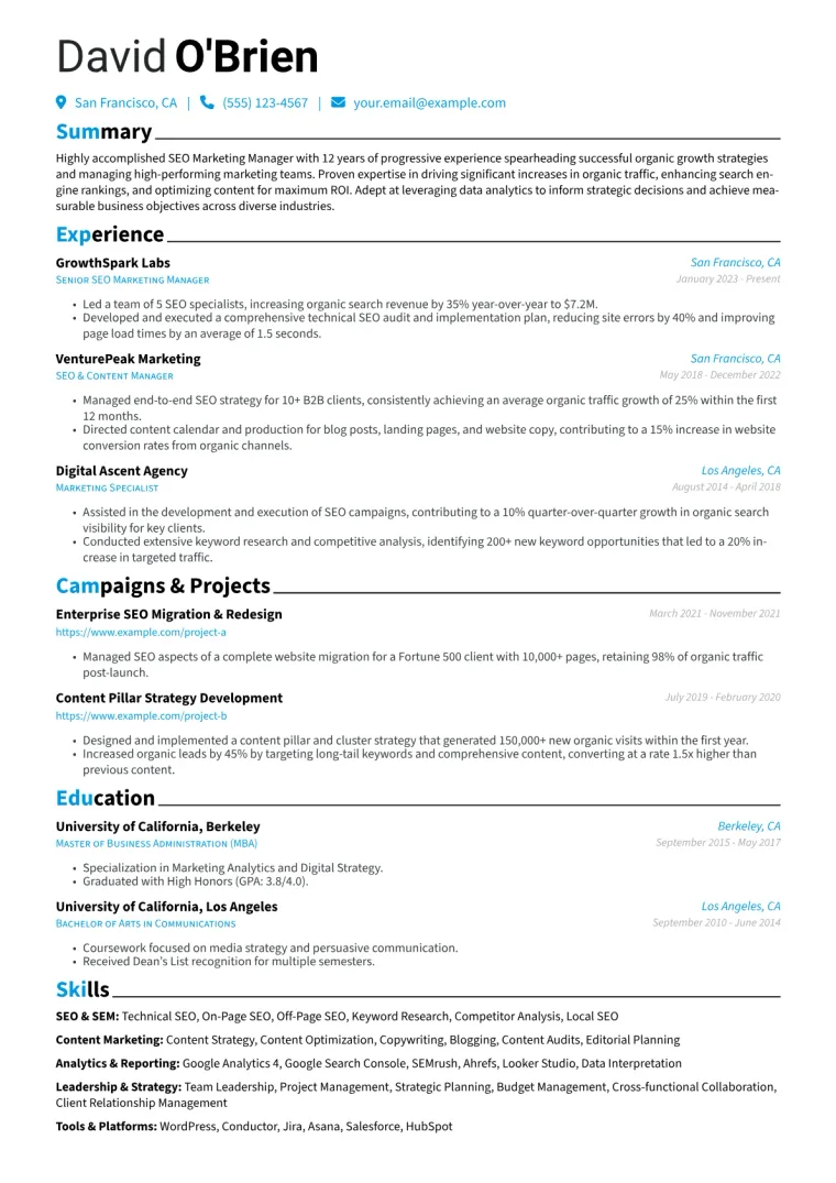 SEO Marketing Manager Resume Example CV template preview