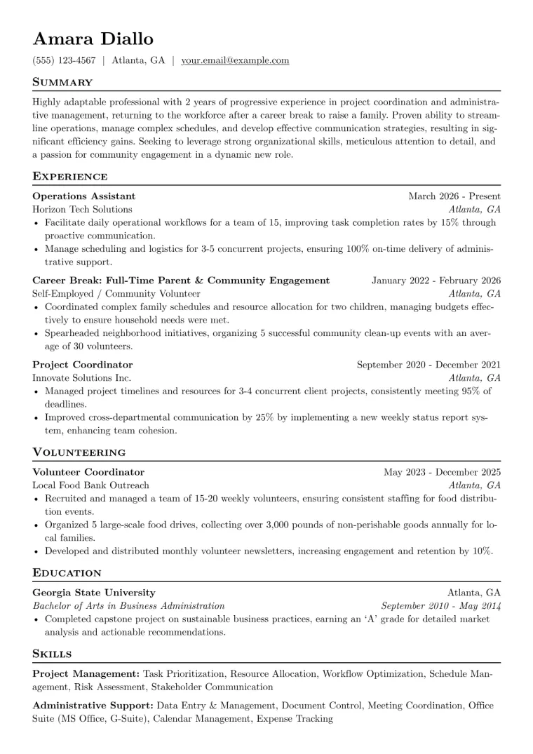 Single Mom Resume Example preview