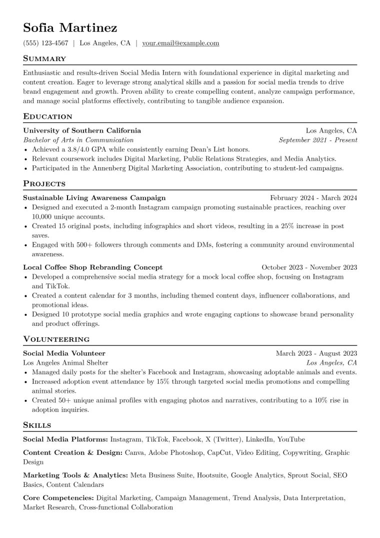 Social Media Intern Resume Example CV template preview