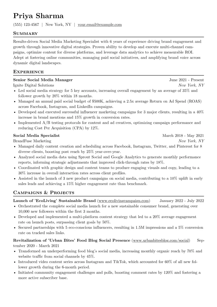 Social Media Marketing Resume Example CV template preview