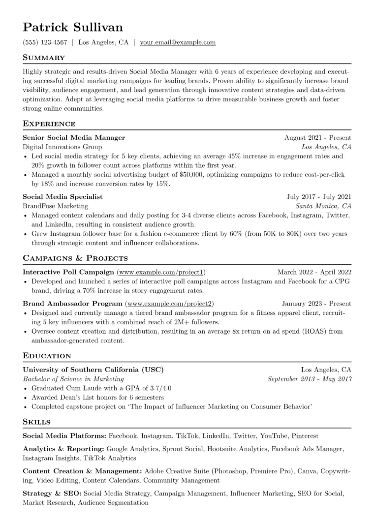 Social Media Resume Example CV template preview