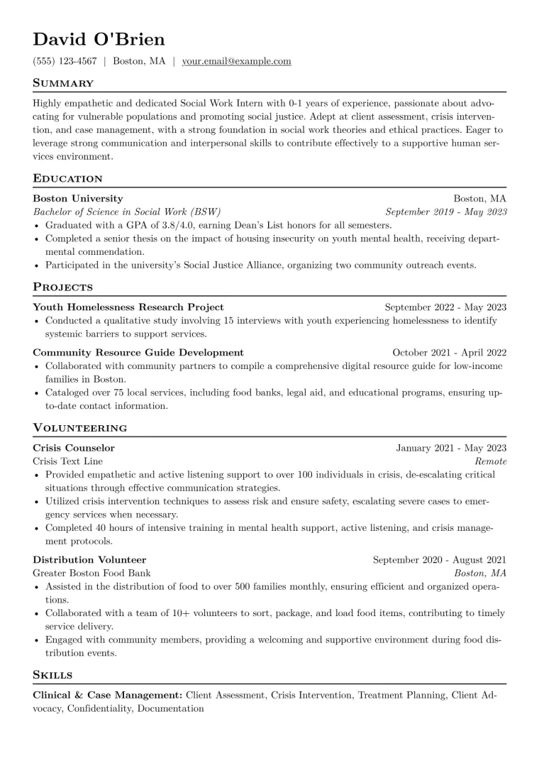 Social Work Intern Resume Example CV template preview