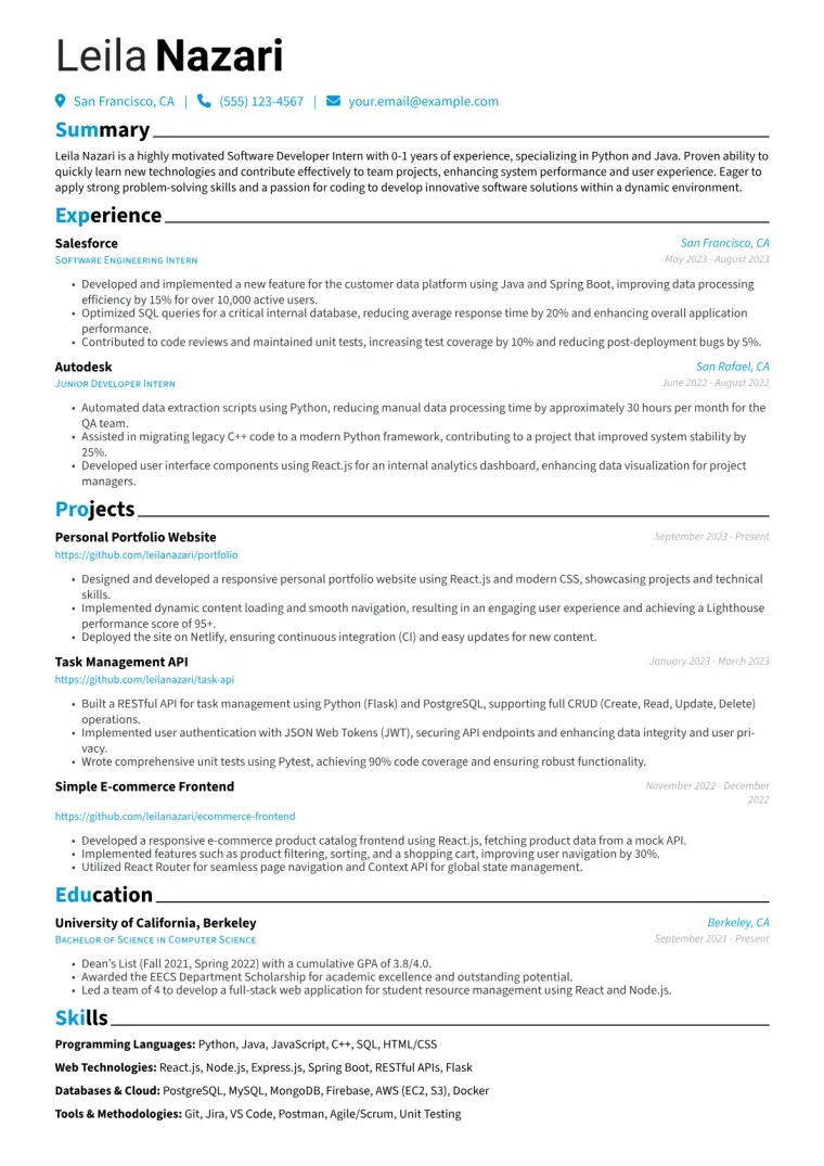 Software Developer Intern Resume Example CV template preview