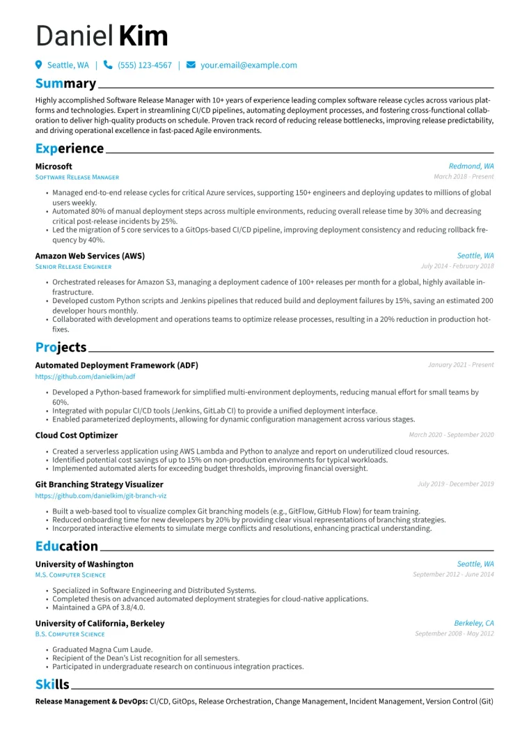 Software Release Manager Resume Example CV template preview