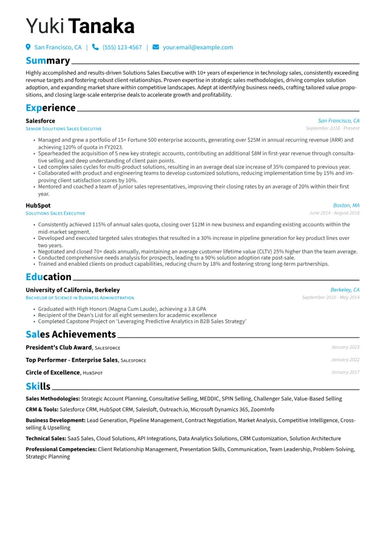 Solutions Sales Executive Resume Example CV template preview
